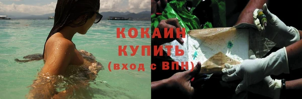 дурь Карпинск