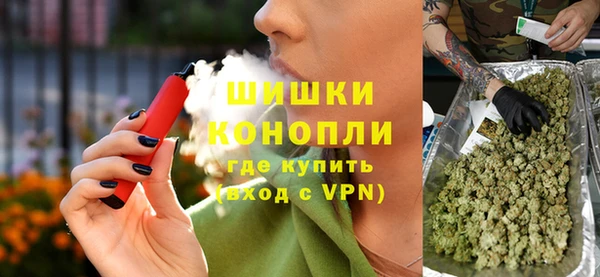 дурь Карпинск