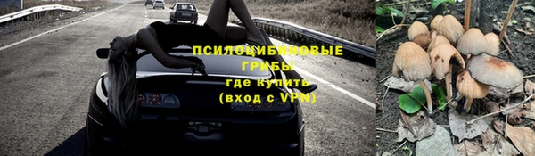 mdpv Касимов