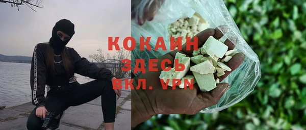 ПСИЛОЦИБИНОВЫЕ ГРИБЫ Каменка