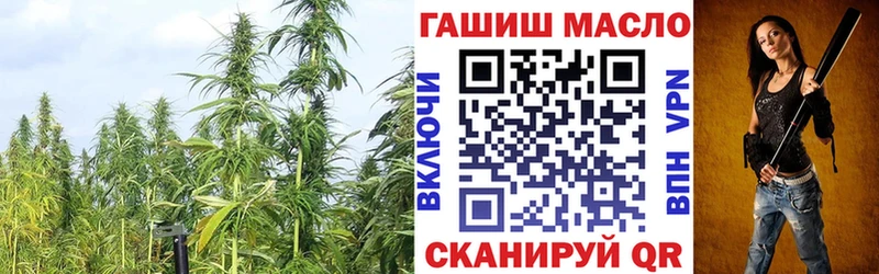 Купить закладки  Волоколамск  Дистиллят ТГК концентрат 
