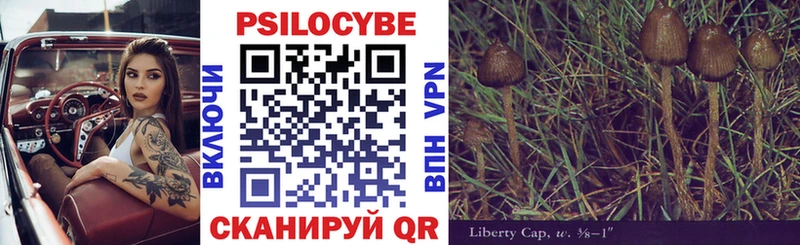 Купить где  Волоколамск  Галлюциногенные грибы прущие грибы 